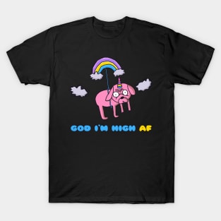 Rainbow Dog is High T-Shirt